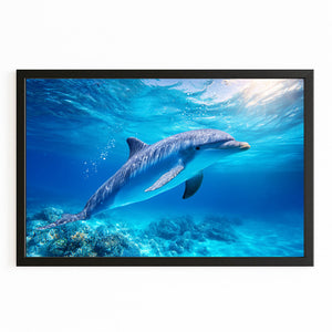 Dark Navy Dolphin Art
