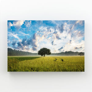 Dawn Meadow Tree Art | MusaArtGallery™