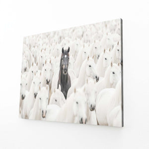 Deep Horse Art