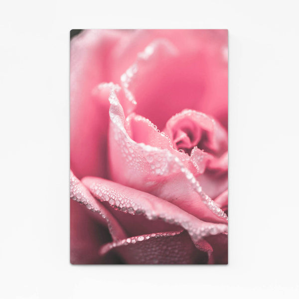 Dewy Rose Pink Wall Art | MusaArtGallery™