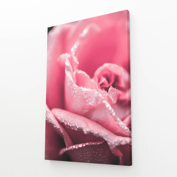 Dewy Rose Pink Wall Art | MusaArtGallery™