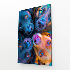 Dogs Wall Art