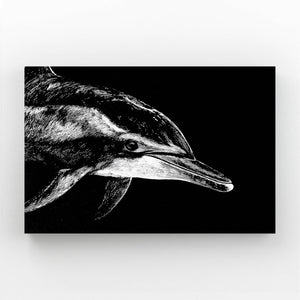 Dolphin Art Black
