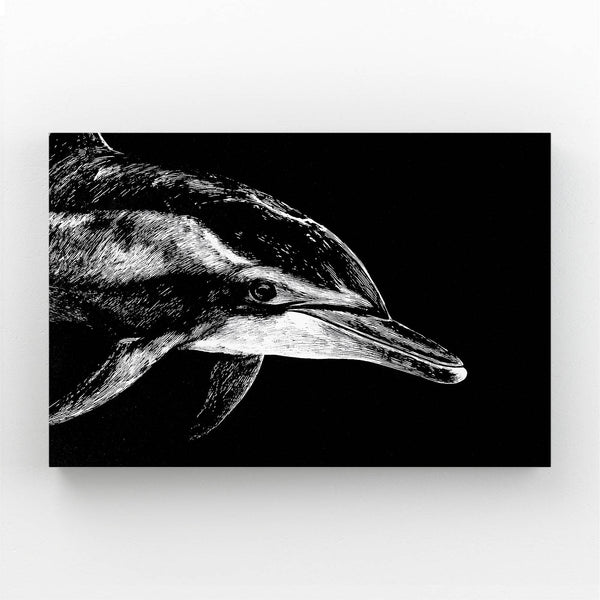 Dolphin Art Black