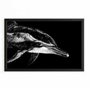 Dolphin Art Black
