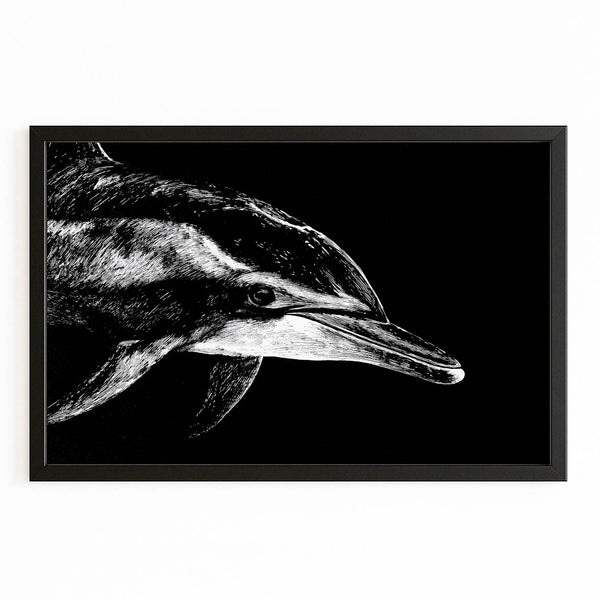 Dolphin Art Black