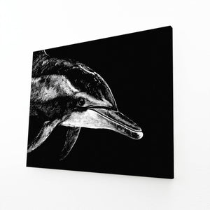 Dolphin Art Black