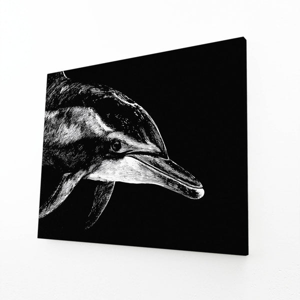 Dolphin Art Black