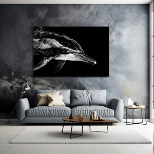 Dolphin Art Black