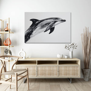 Dolphin Art Grey