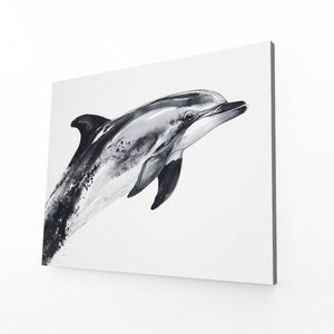 Dolphin Art Grey