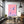 Dolphin Art Pink