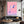 Dolphin Art Pink