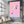 Dolphin Art Pink