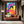 Dolphin Art Pop Art
