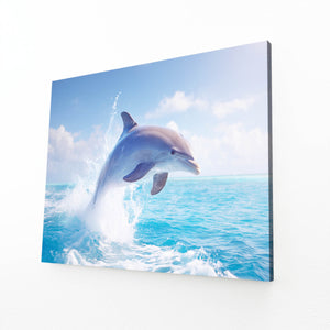 Dolphin Art Sea