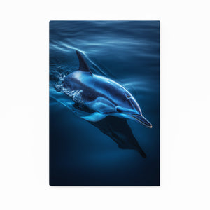 Dolphin Art