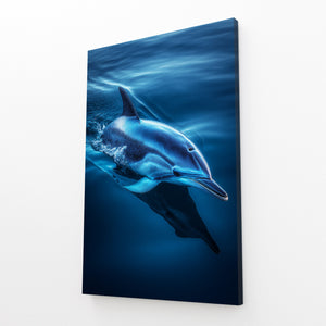 Dolphin Art