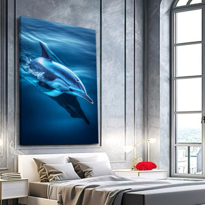 Dolphin Art