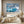 Dolphin Canvas Art