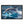 Dolphin Canvas Art