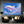 Dolphin Canvas Horizontal
