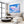 Dolphin Canvas Horizontal