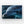 Dolphin Canvas Print