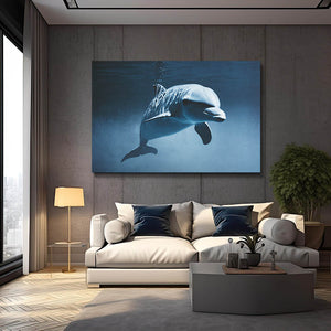 Dolphin Canvas