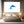 Dolphin Wall Art White