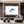 Dolphin Wall Art White