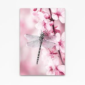 Dragonfly Cherry Blossom Flower Art