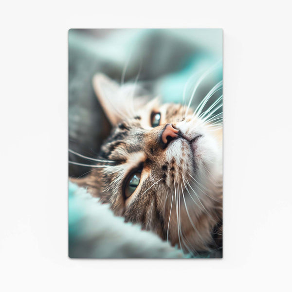 Dreamy Whiskers Cat Art | MusaArtGallery™