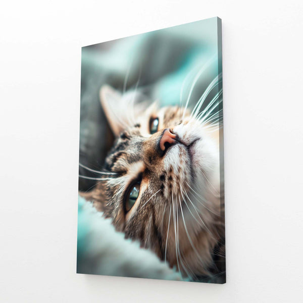 Dreamy Whiskers Cat Art | MusaArtGallery™