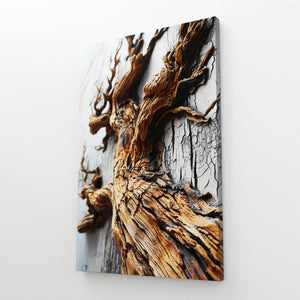 Driftwood Wall Art | MusaArtGallery™