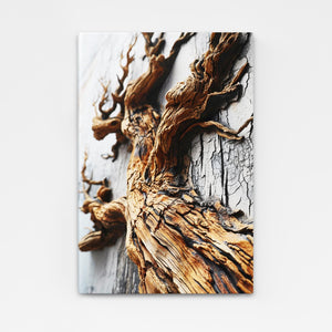 Driftwood Wall Art | MusaArtGallery™