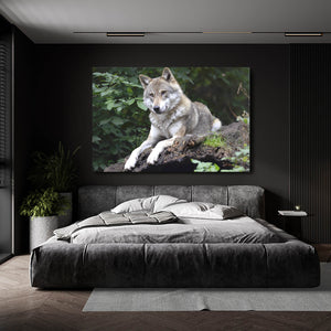 Eastern Wolf Art  | MusaArtGallery™