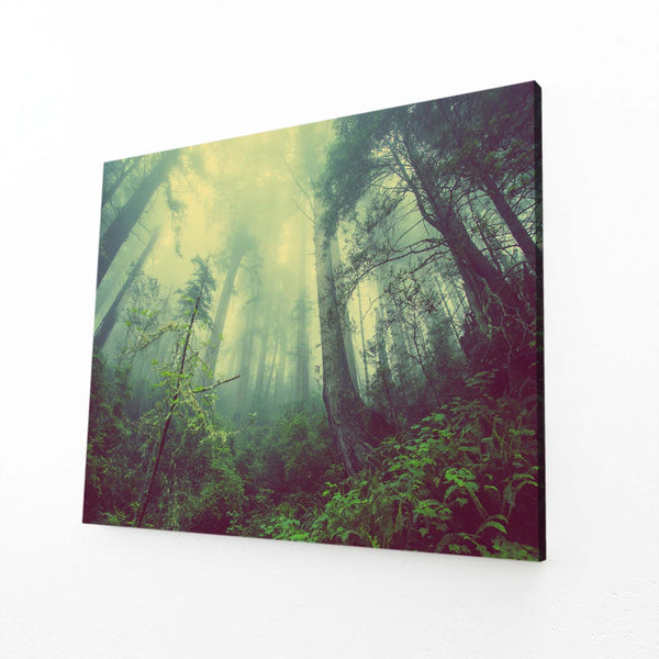 Enchanted Forest Tree Art | MusaArtGallery™