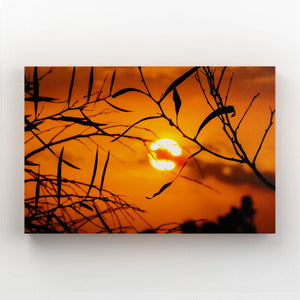 Enchanted Sunset Art  | MusaArtGallery™