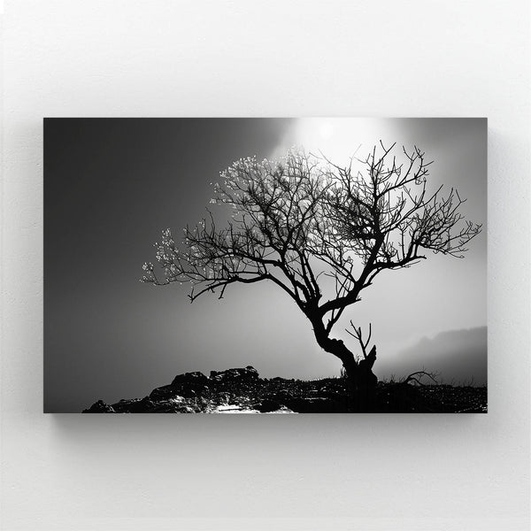 Ethereal Silhouette Tree Art | MusaArtGallery™