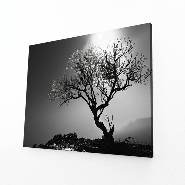 Ethereal Silhouette Tree Art | MusaArtGallery™