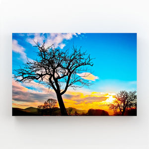 Evening Radiance Tree Art | MusaArtGallery™