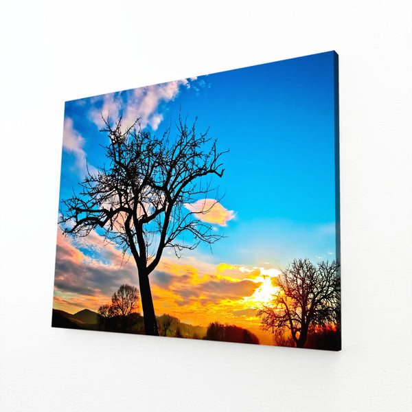 Evening Radiance Tree Art | MusaArtGallery™