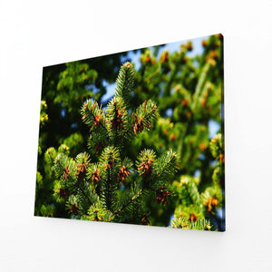 Evergreen Beauty Tree Art | MusaArtGallery™