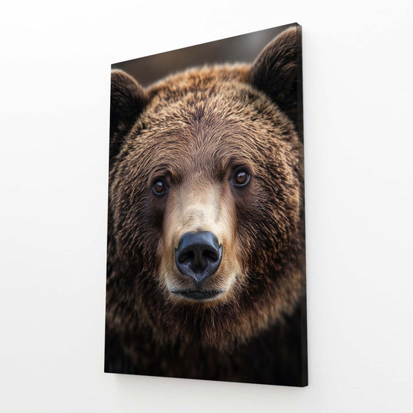 Face Bear Wall Art