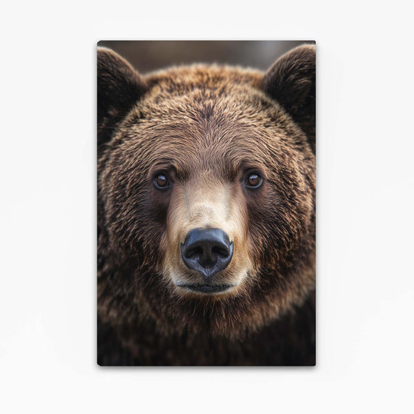 Face Bear Wall Art