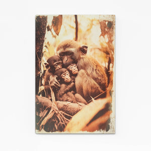 Farmhouse Monkey Wall Art