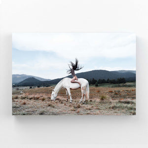 Field Horse Art