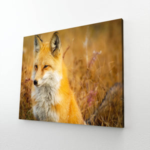 Fields Fox Canvas Art  | MusaArtGallery™