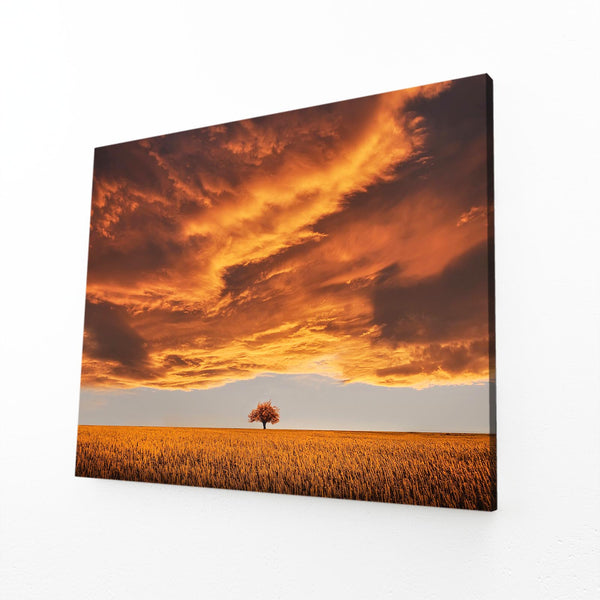 Fiery Sunset Tree Art | MusaArtGallery™